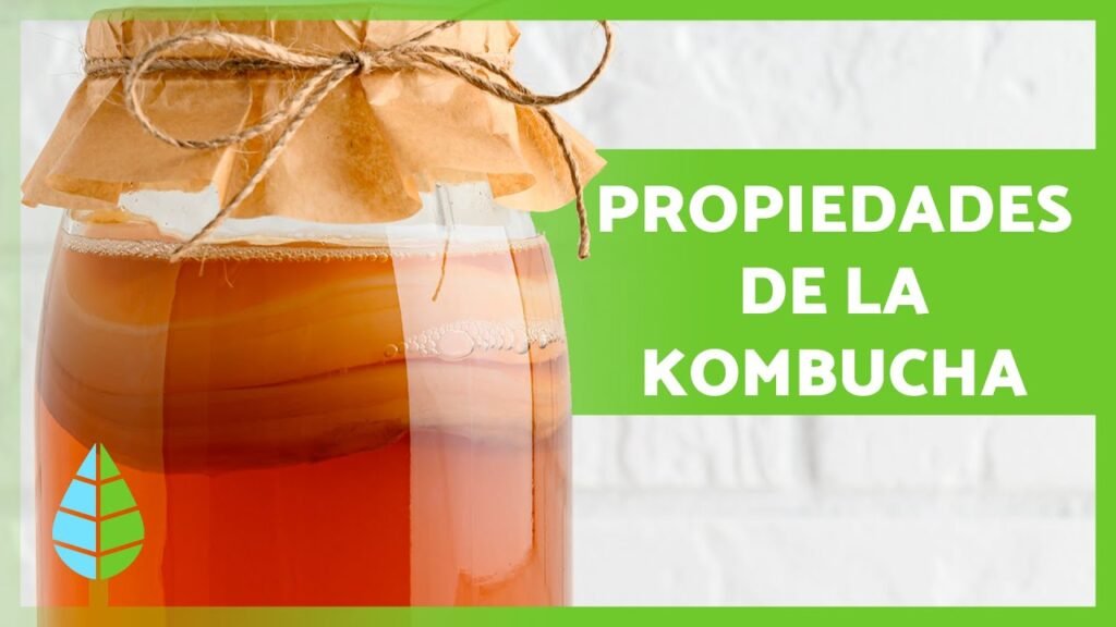 Beneficios del kombucha para tu salud