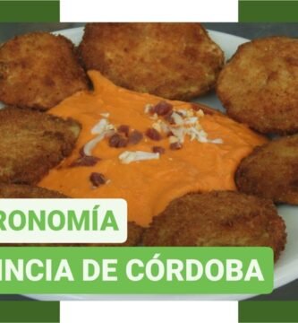 Comida típica que debes probar en los restaurantes de Córdoba