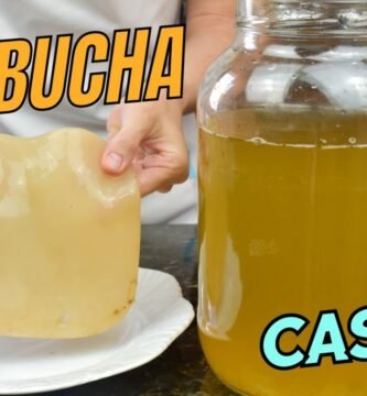 Cómo incorporar el kombucha en tu dieta diaria