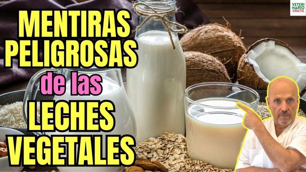 Comparación entre avena overnight y leche de almendras ¿cuál es mejor?