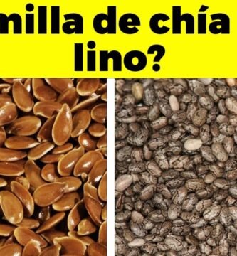 Comparación entre chia y chia ¿cuál es mejor?