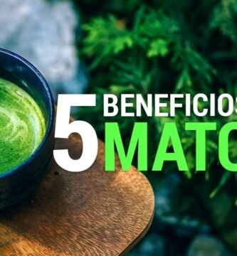 Comparación entre chia y matcha ¿cuál es mejor?
