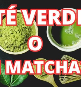Comparación entre matcha y kombucha ¿cuál es mejor?