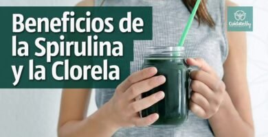 Comparación entre miso y spirulina ¿cuál es mejor?