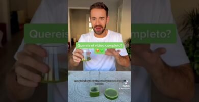 Comparación entre tempeh y matcha ¿cuál es mejor?