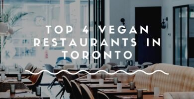 Dónde encontrar comida vegana en Toronto