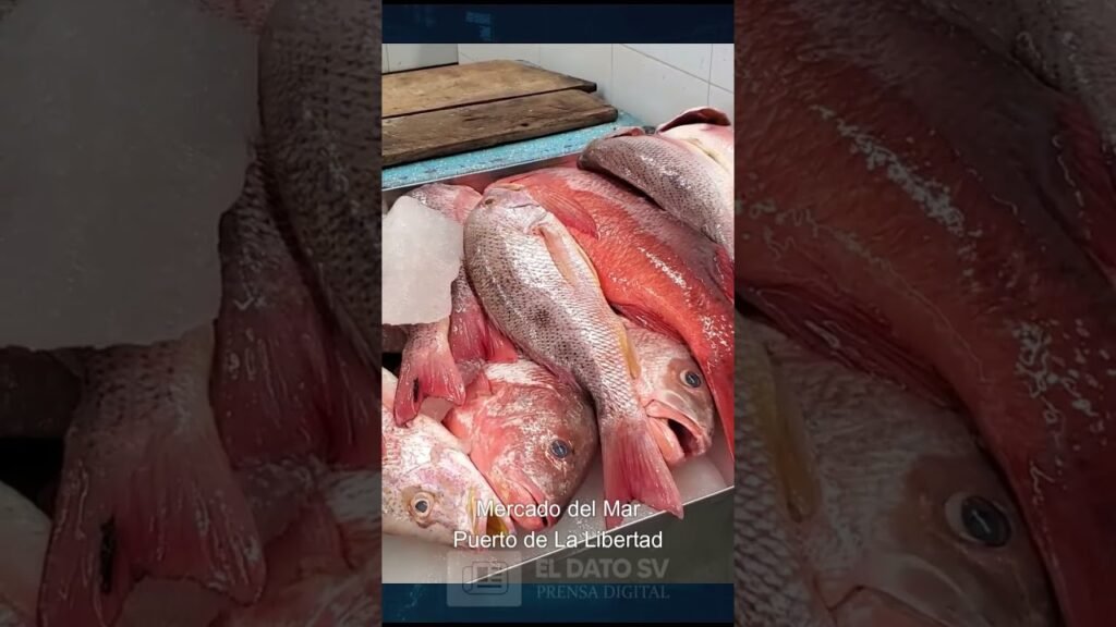 Dónde encontrar mariscos frescos en Port of Spain