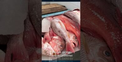 Dónde encontrar mariscos frescos en Port of Spain