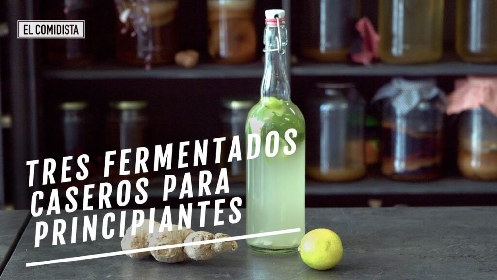 Fermentados caseros: recetas fáciles con kombucha