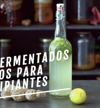 Fermentados caseros: recetas fáciles con kombucha
