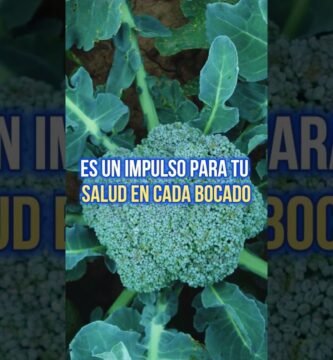 Lo que nadie te dice sobre brócoli
