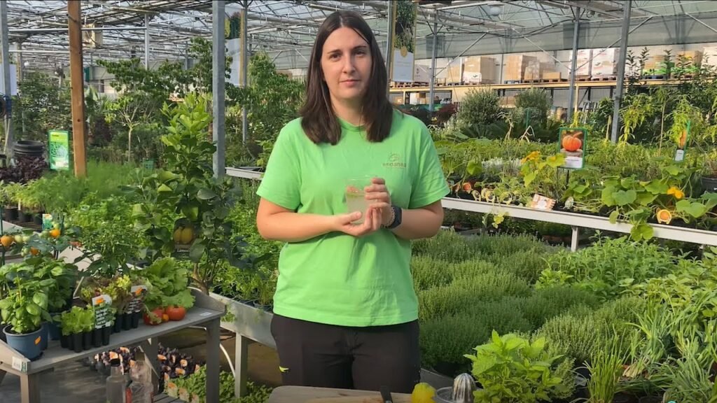 Recetas con productos del huerto para una cocina más responsable