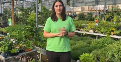 Recetas con productos del huerto para una cocina más responsable