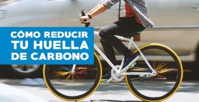 Reducir huella de carbono desde la cocina para una cocina más responsable