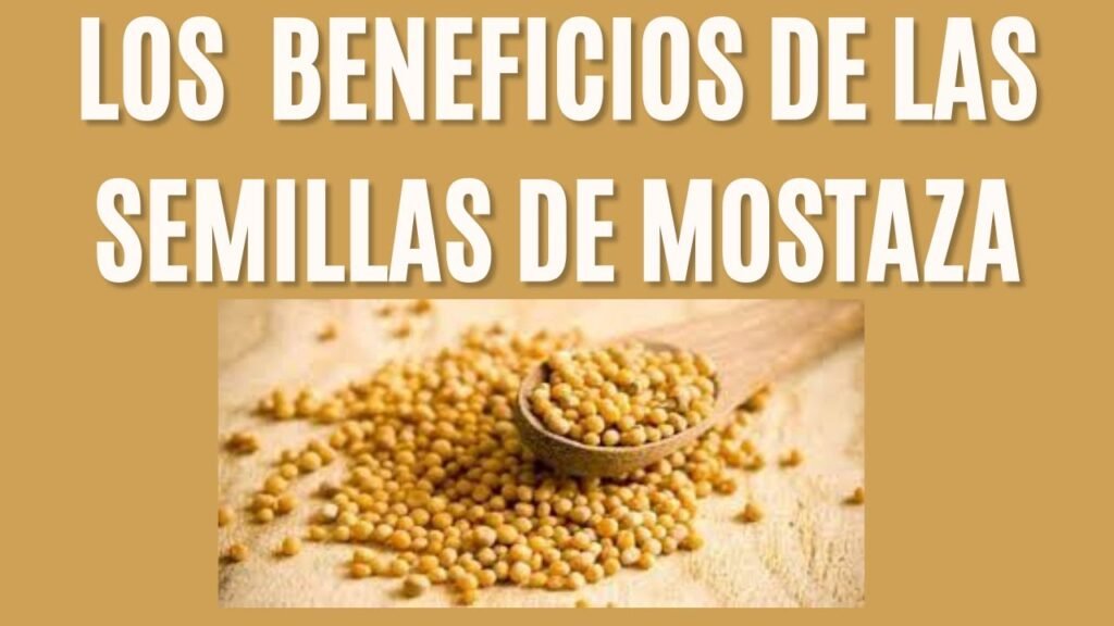 Todo lo que debes saber sobre el uso del mostaza en la cocina