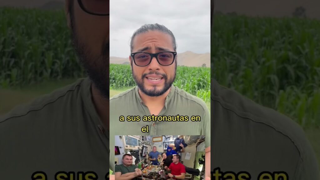 Todo sobre la tendencia spirulina en el mundo gastronómico