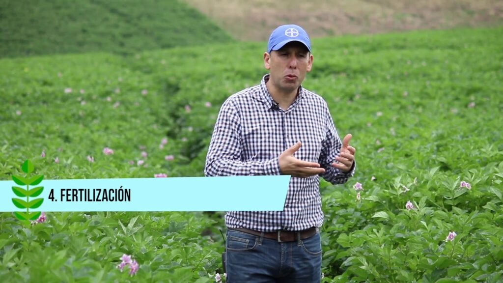 Todo sobre papas: técnica consejos y trucos