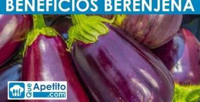 ¿Qué es berenjena y cómo se hace bien?