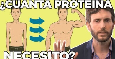 Beneficios de una dieta rica en proteínas