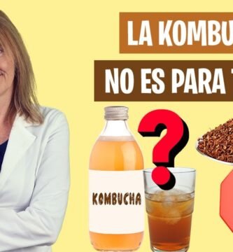 Comparación entre chia y kombucha ¿cuál es mejor?