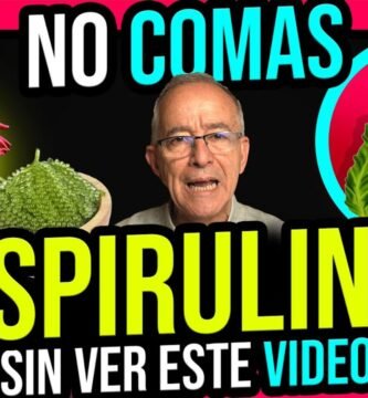 Comparación entre chia y spirulina ¿cuál es mejor?