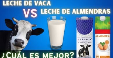 Comparación entre kale y leche de almendras ¿cuál es mejor?