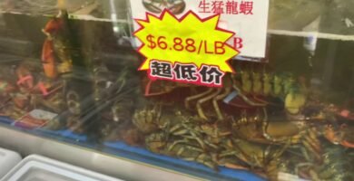 Dónde encontrar mariscos frescos en Chicago