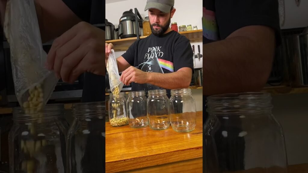 Fermentados caseros: recetas fáciles con miso