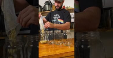 Fermentados caseros: recetas fáciles con miso