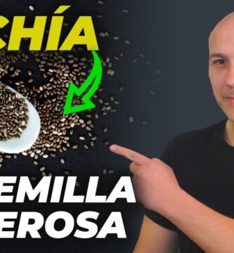 Guía completa sobre el uso de chia en la cocina moderna