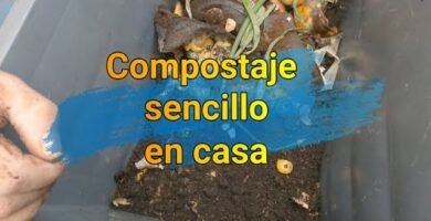 Hacer compost con residuos de cocina para una cocina más responsable