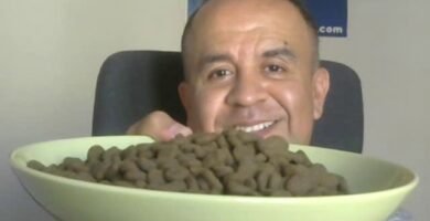 Lo que nadie te dice sobre croquetas