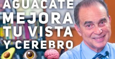 Recetas con ingredientes que nutren tu cerebro con aguacate