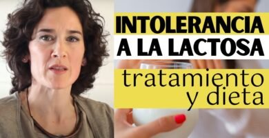 Recetas sin sal para personas con intolerancia a la lactosa