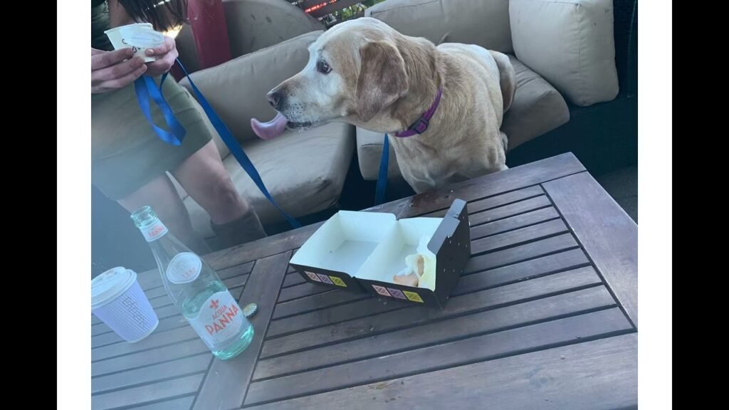 Restaurantes pet-friendly en Las Vegas