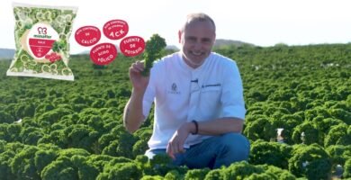 Todo sobre la tendencia kale en el mundo gastronómico