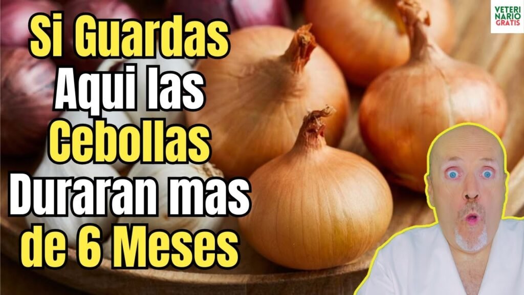 ¿Cuál es la mejor forma de conservar la cebolla?