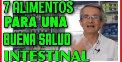Alimentos que ayudan a mejorar la digestión