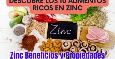 Alimentos ricos en zinc que debes incluir en tu dieta