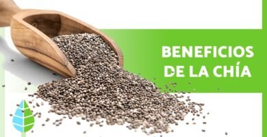 Beneficios del chia para tu salud