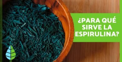 Beneficios del spirulina para tu salud