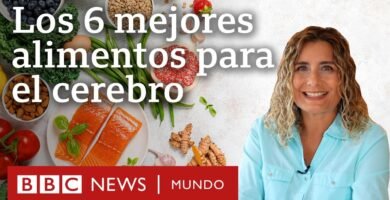 Comidas para estudiantes que ayudan a retener mejor la información en Italia