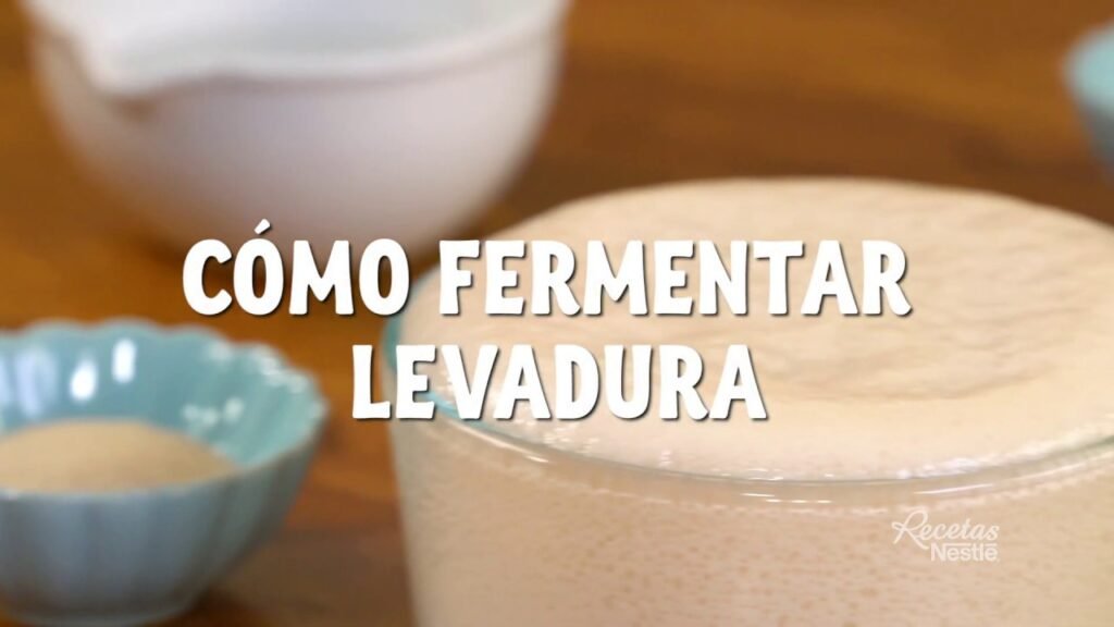Cómo fermentar empanadas correctamente