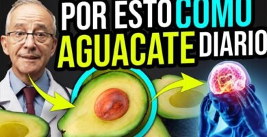 Cómo mejorar tu salud con aguacate