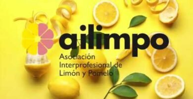Cómo realzar el sabor de tus platos con limón