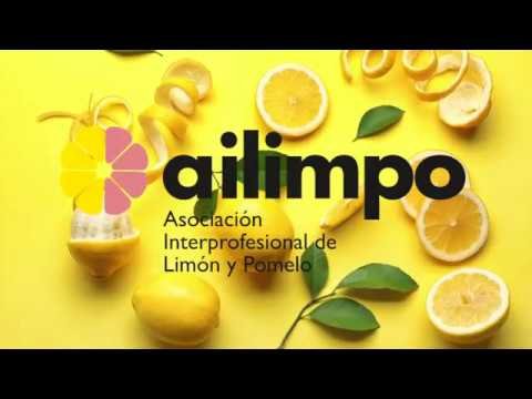 Cómo realzar el sabor de tus platos con limón