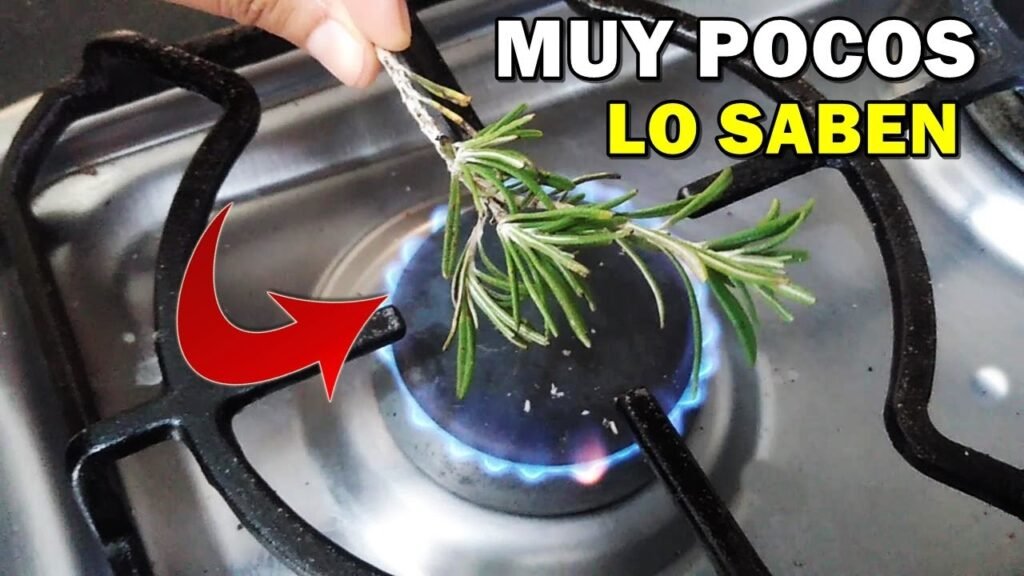 Cómo reemplazar la romero si no la tienes en casa