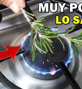 Cómo reemplazar la romero si no la tienes en casa