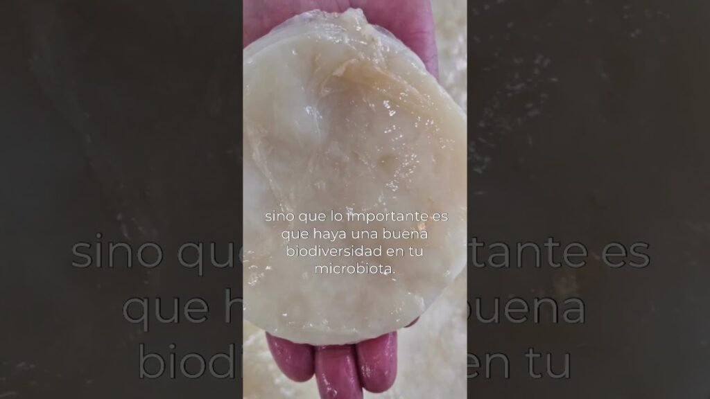 Comparación entre miso y kombucha ¿cuál es mejor?