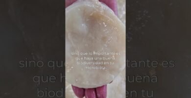 Comparación entre miso y kombucha ¿cuál es mejor?
